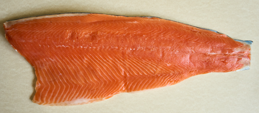 Salmón